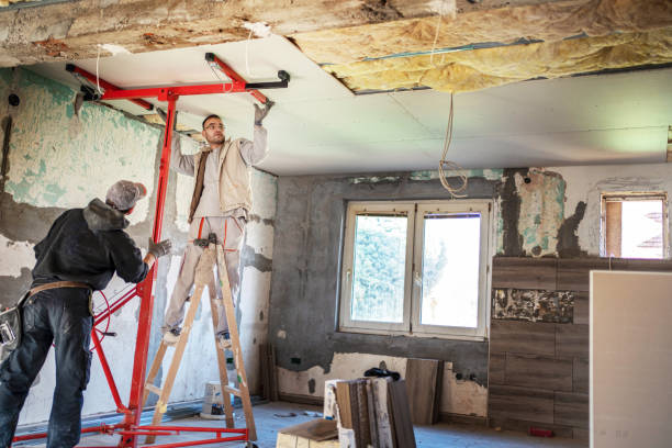 Best Insulation Installation Services in Perham, MN