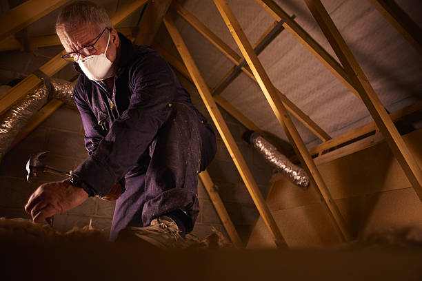 Best Insulation Materials and Products in Perham, MN